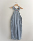 The Springy Sky Overalls (S)