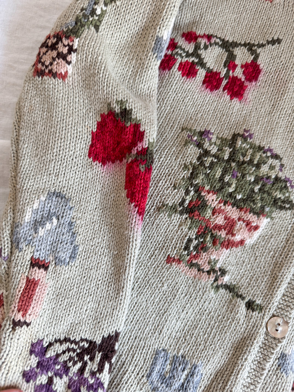 The Strawberry Garden Cardigan (S)
