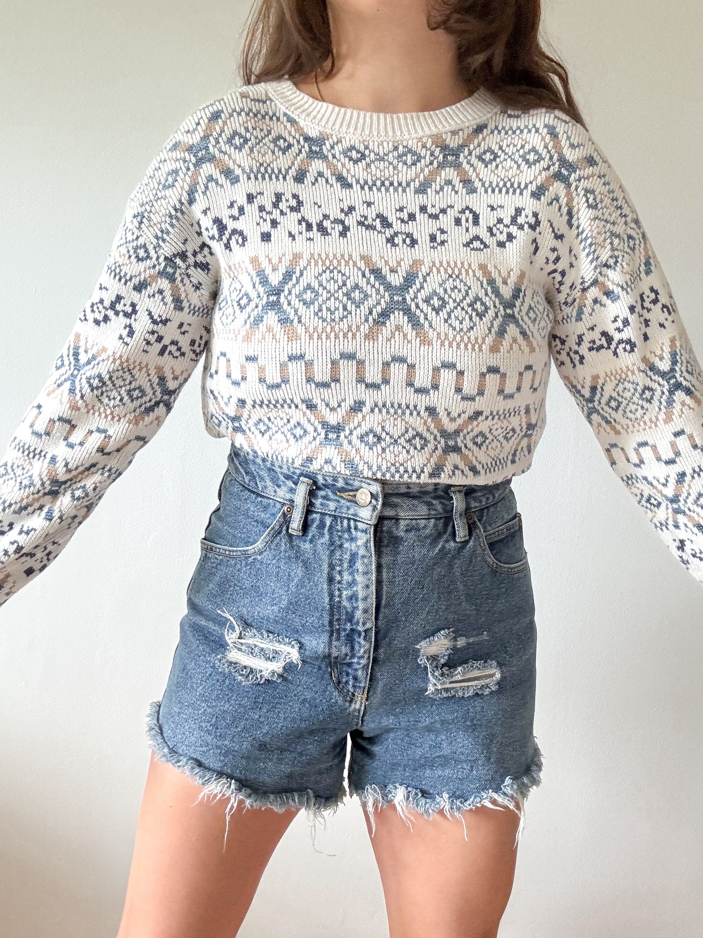 The Blue &amp; Beige Sweater (S)