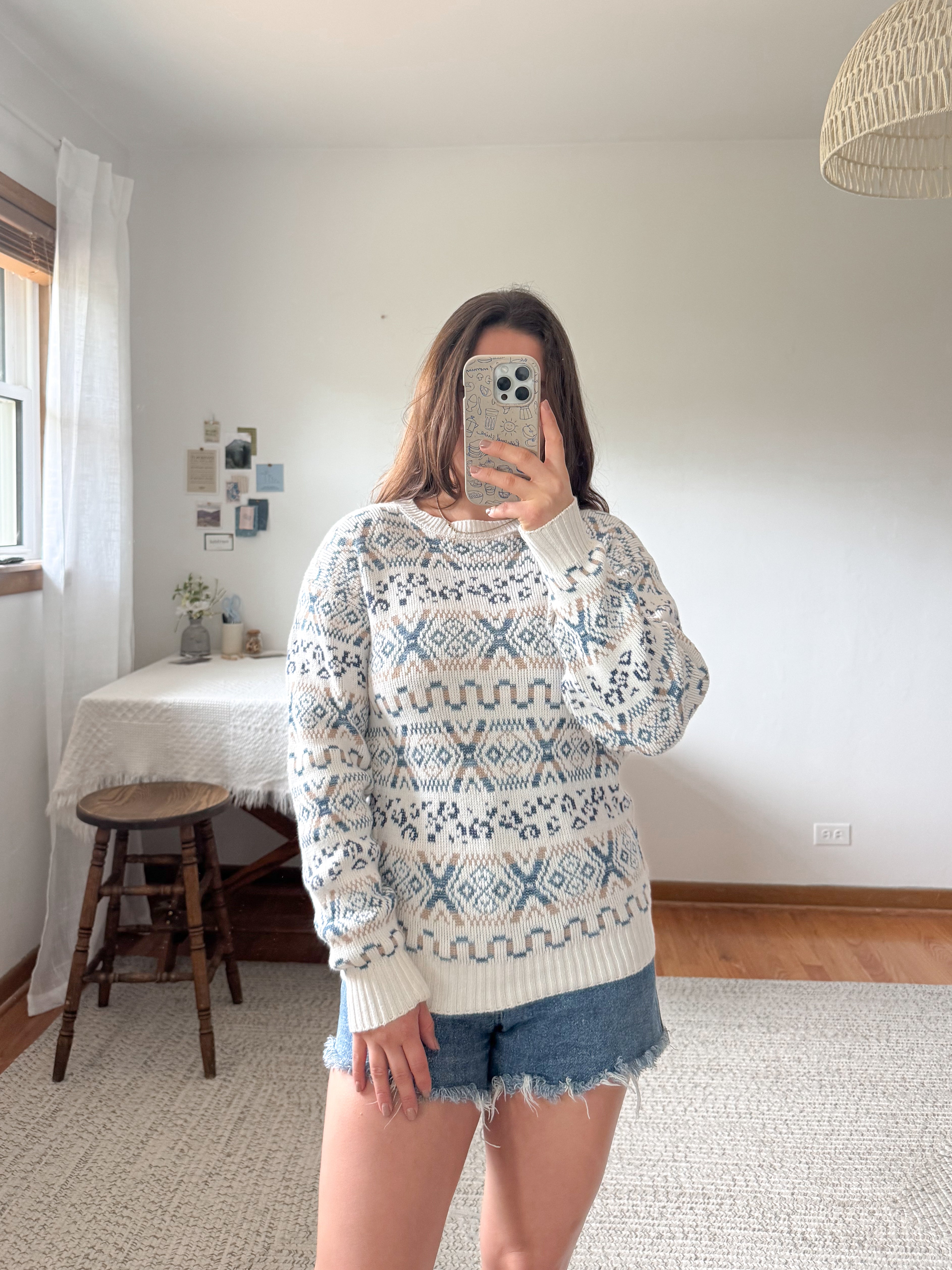 The Blue &amp; Beige Sweater (S)