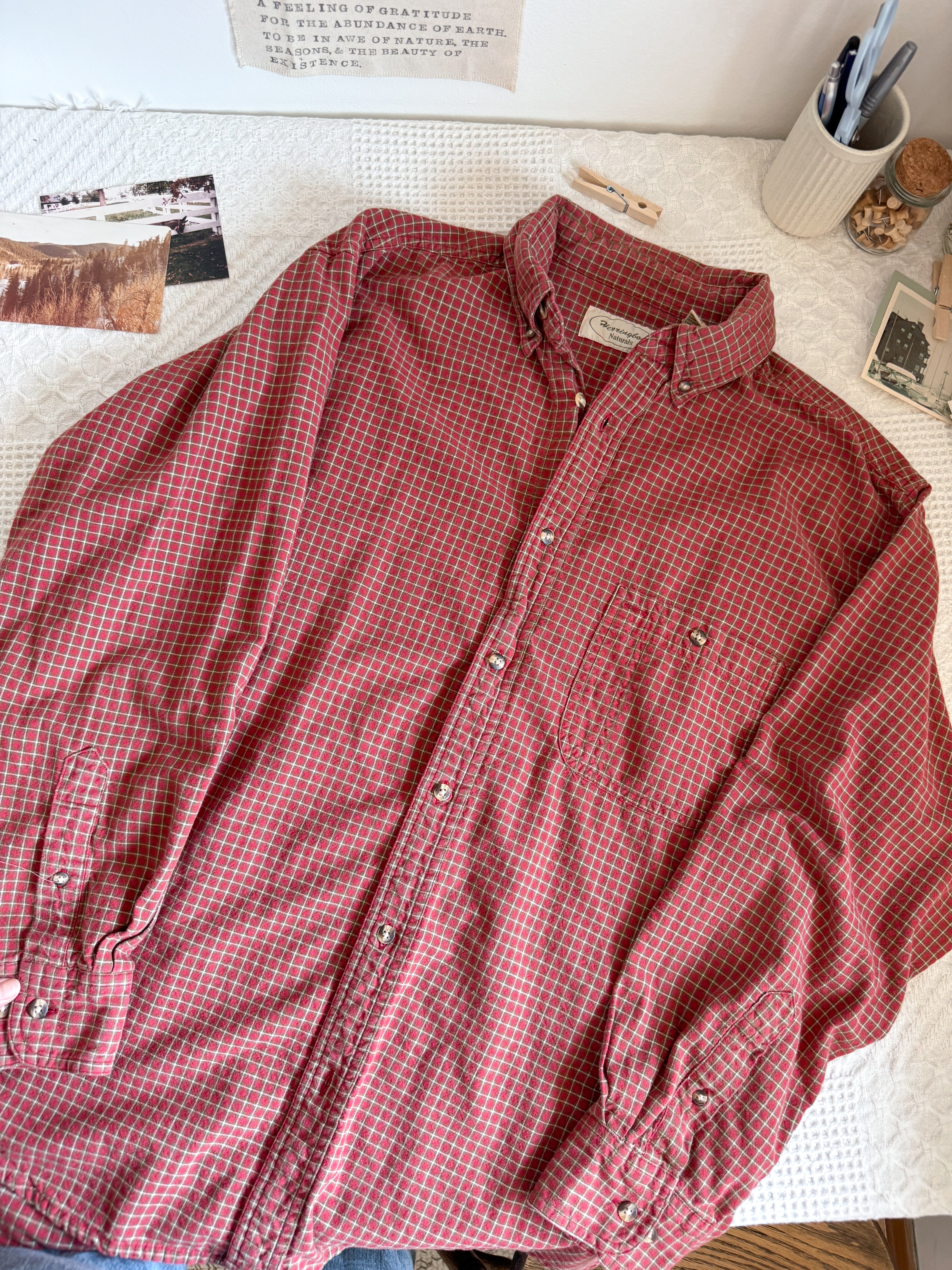 The Cider Flannel Button Up (L)