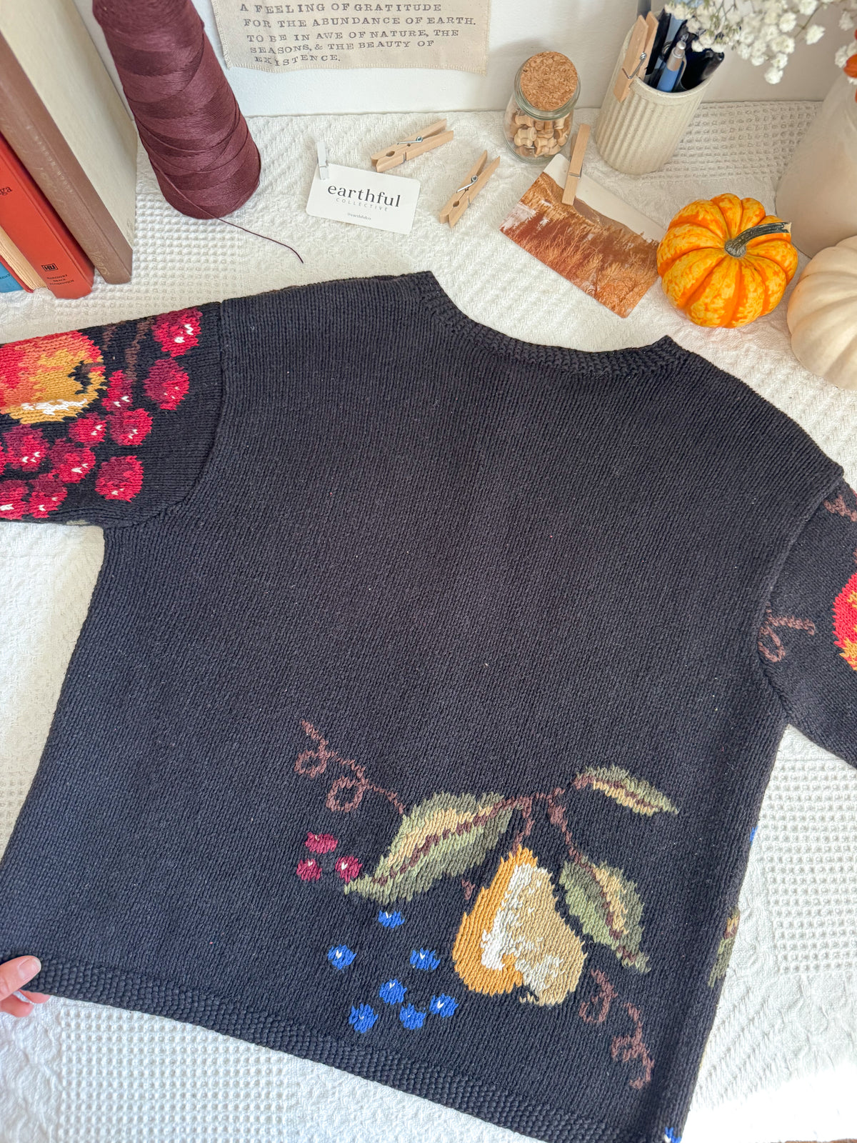 The Fruit Color Pop Cardigan (M)