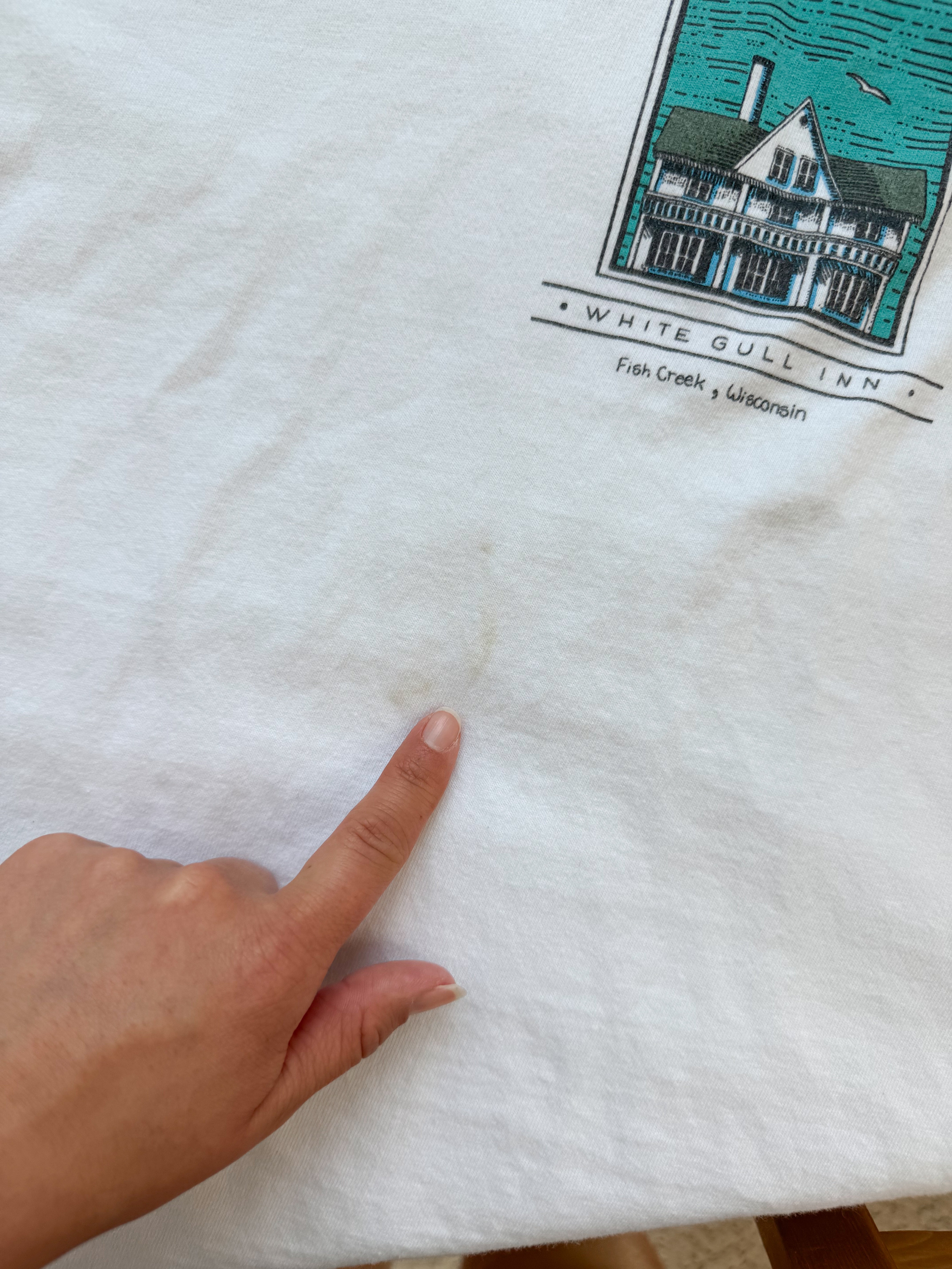 The Seagull T Shirt (L)