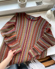 The Rainbow Vertical Stripe Sweater (L)