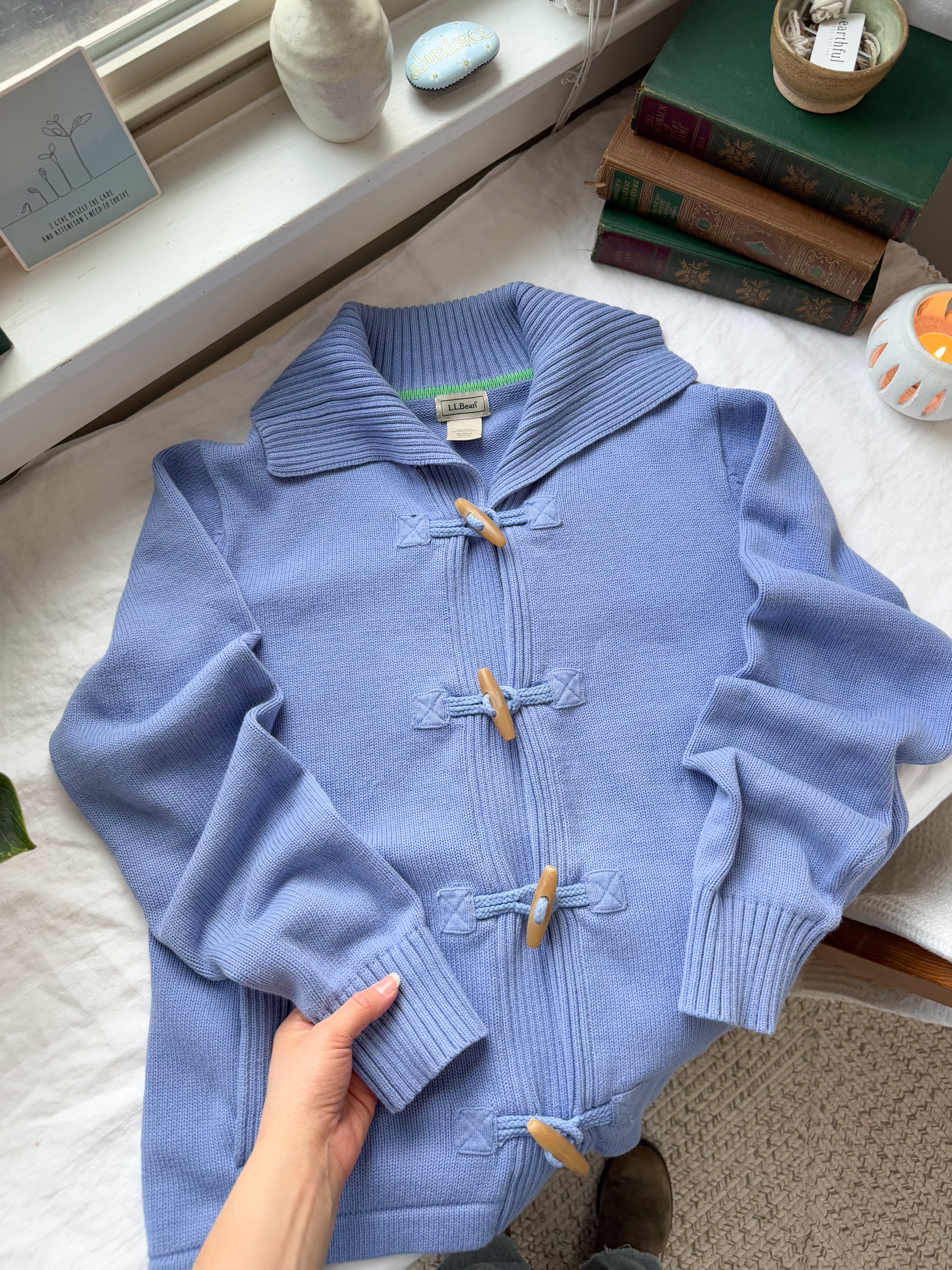 The Periwinkle Toggle Cardigan (M)