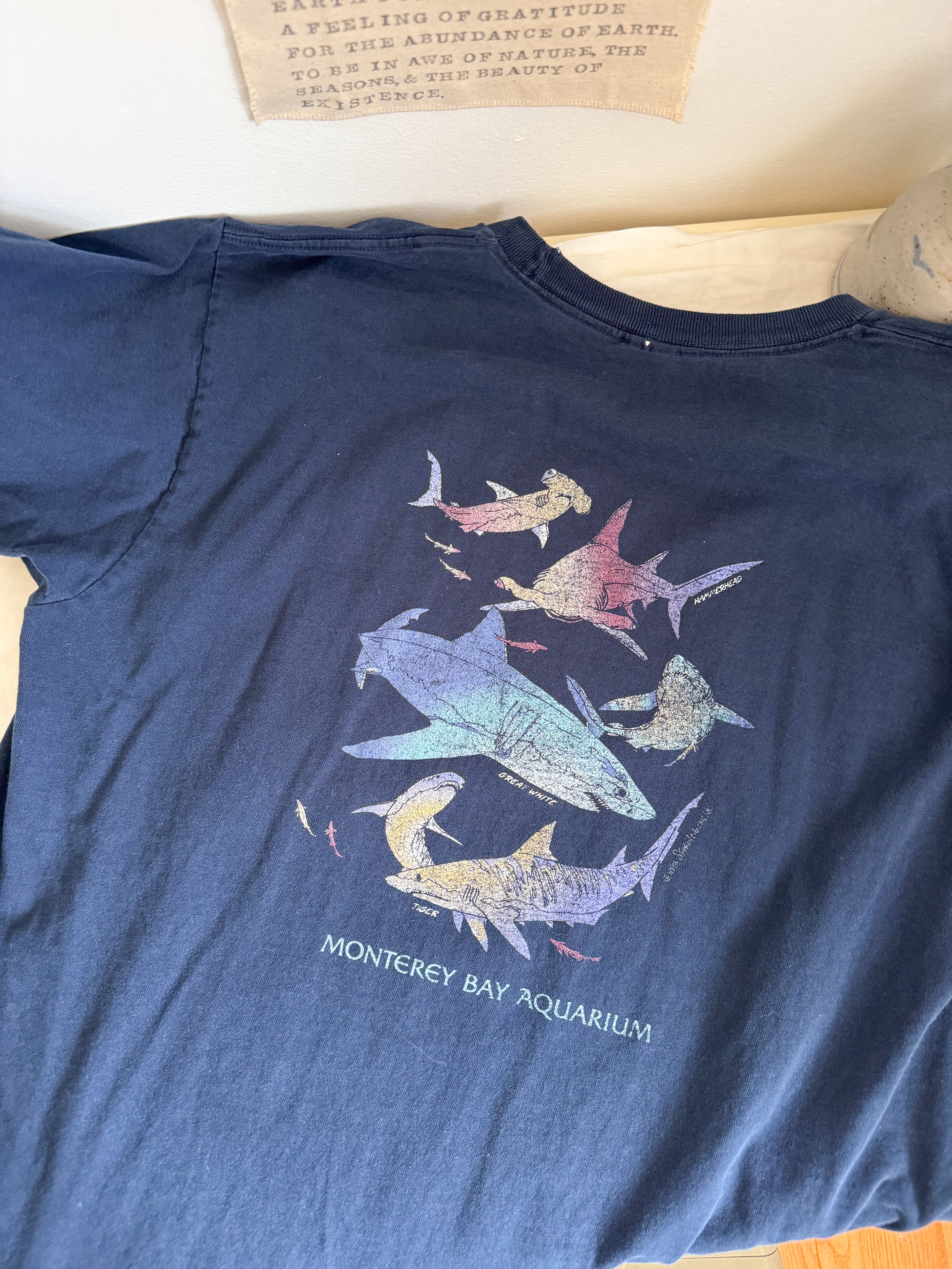 The Shark T Shirt (XL)