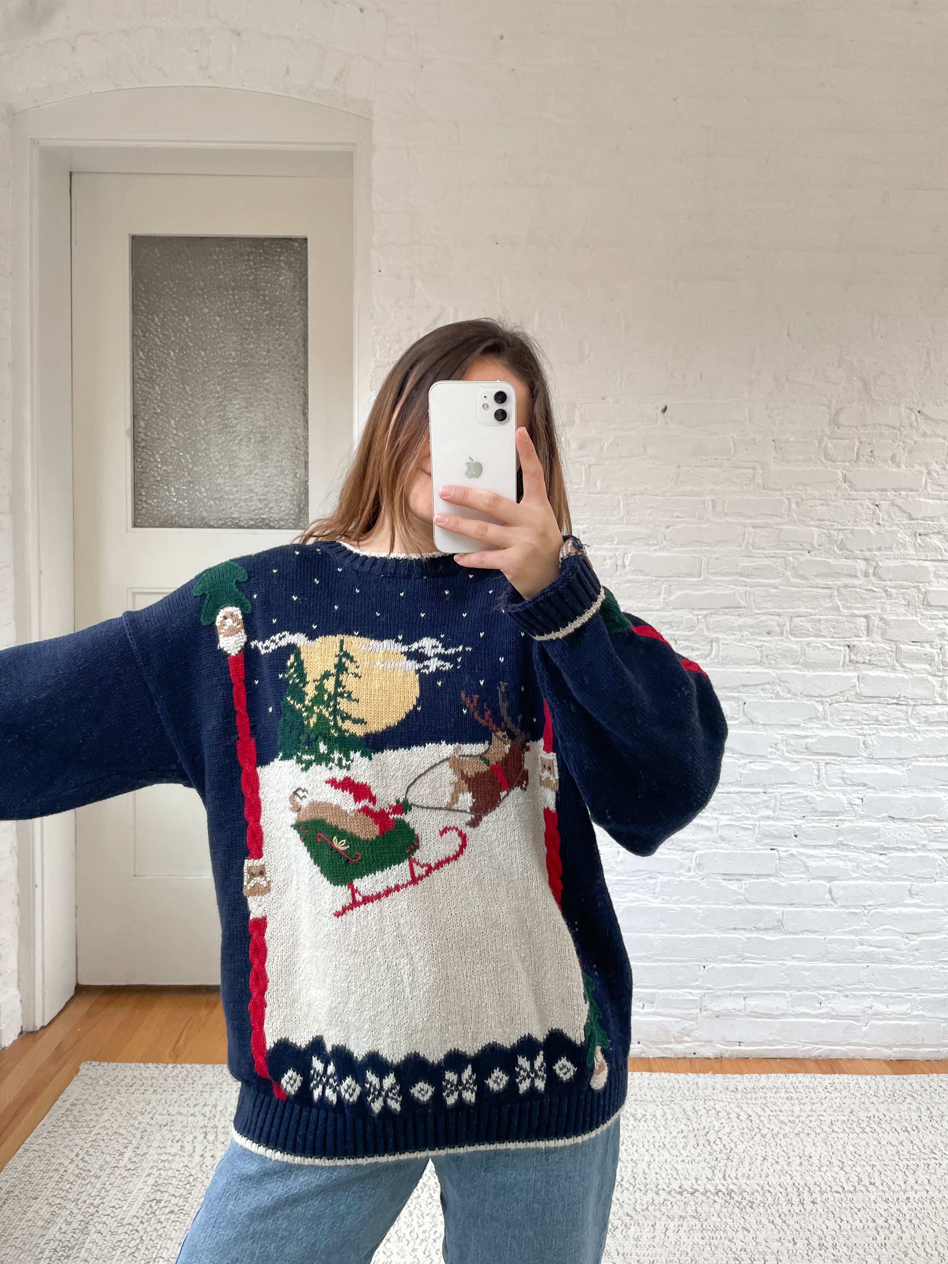 The Sleigh Scene Sweater (XL)