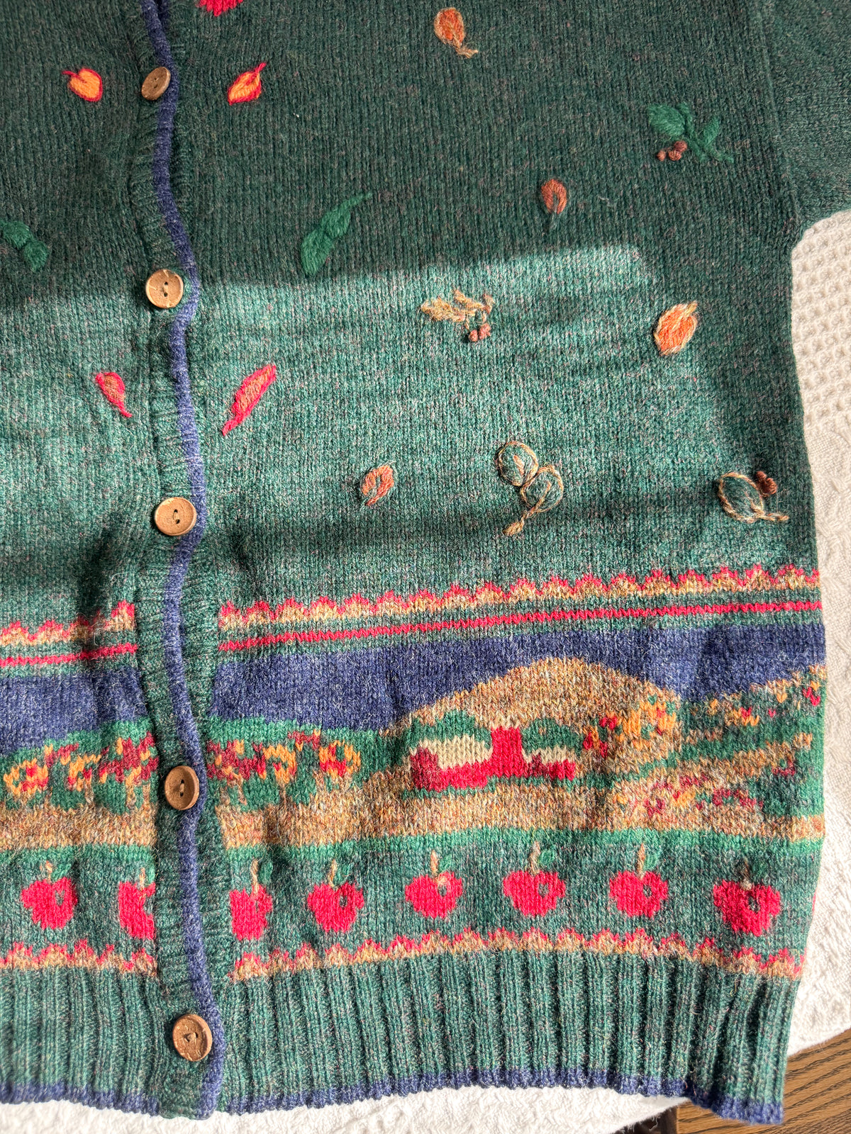The Autumnal Village Cardigan (XL)
