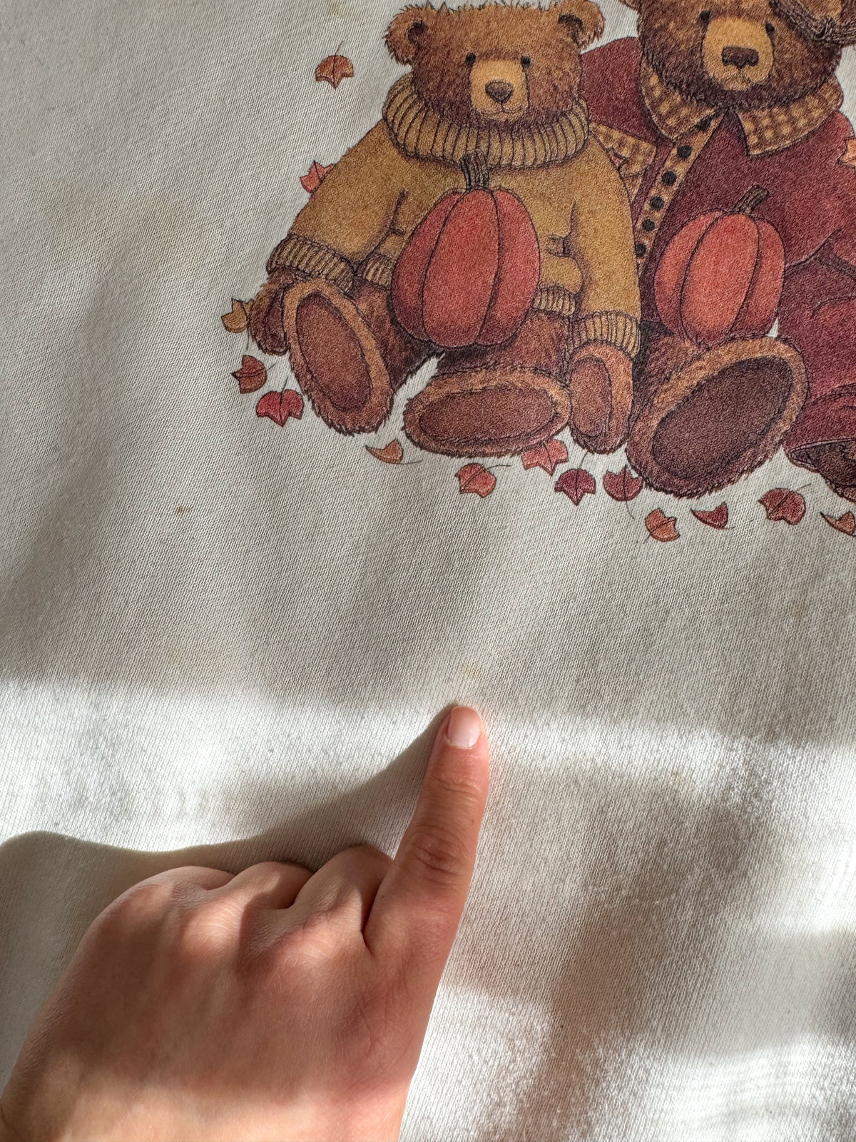 The Sweater Bears Autumn Crewneck (XXL)
