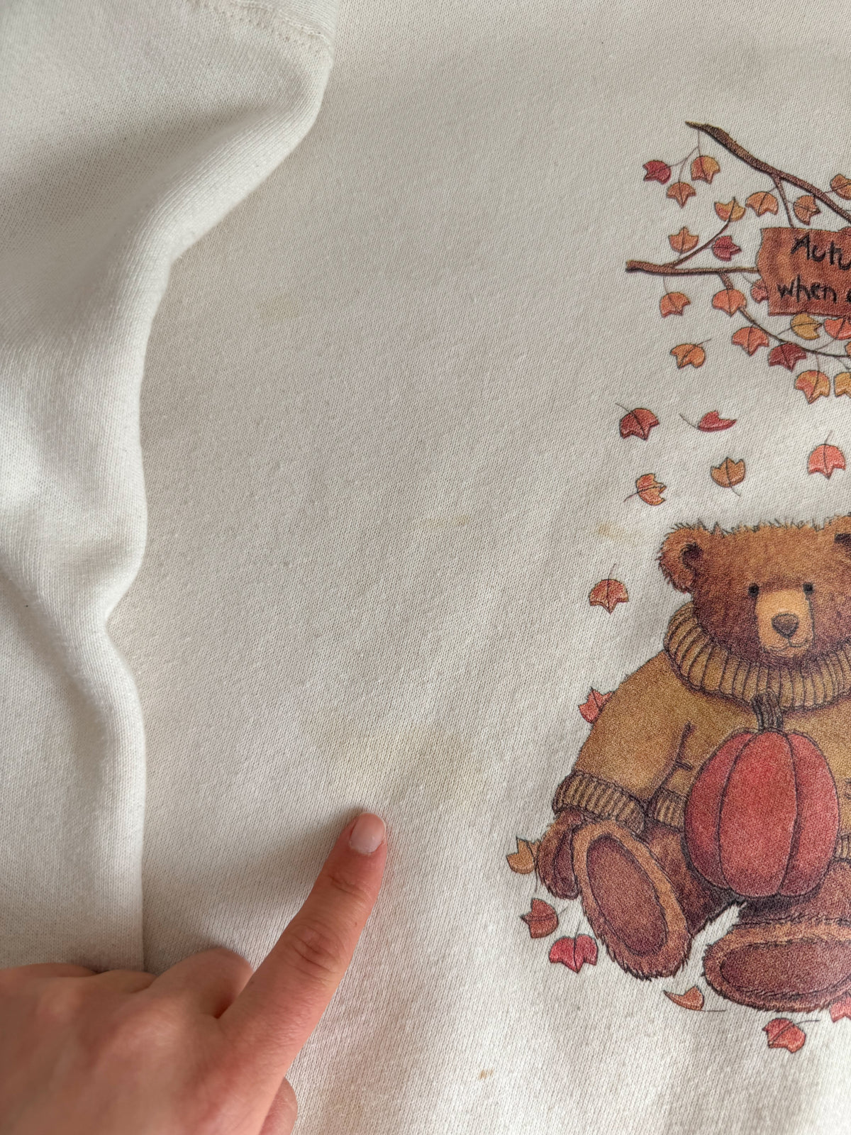 The Sweater Bears Autumn Crewneck (XXL)