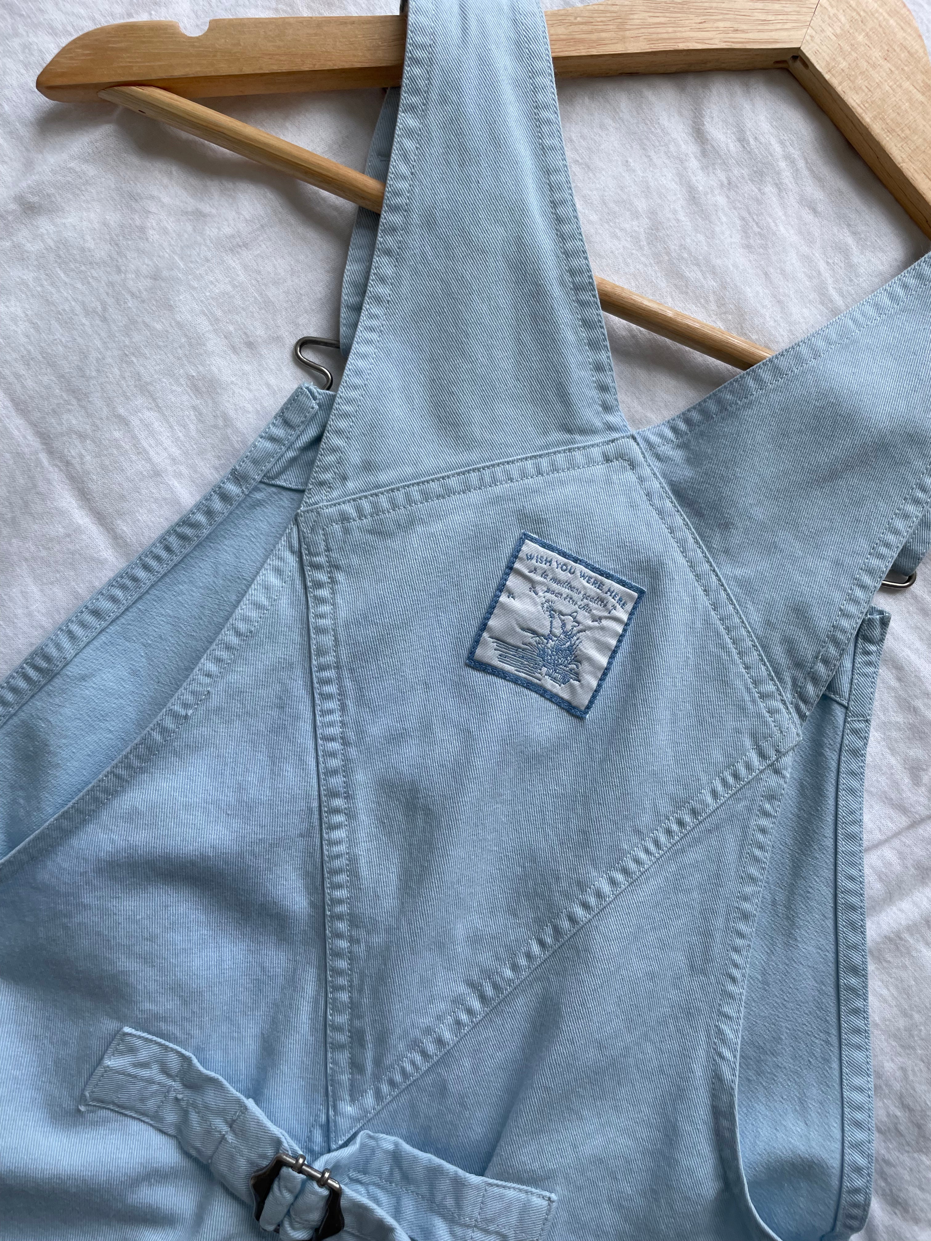 Disney Eyeore Overalls (S)